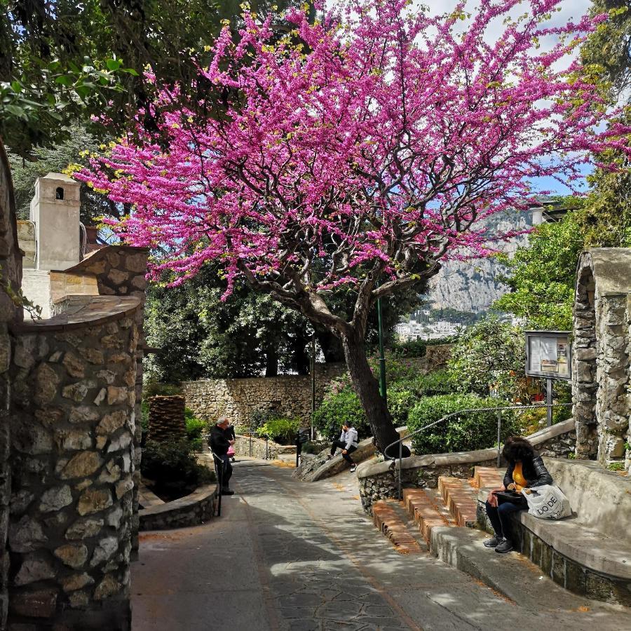 Il Blu Vila Capri Exterior foto
